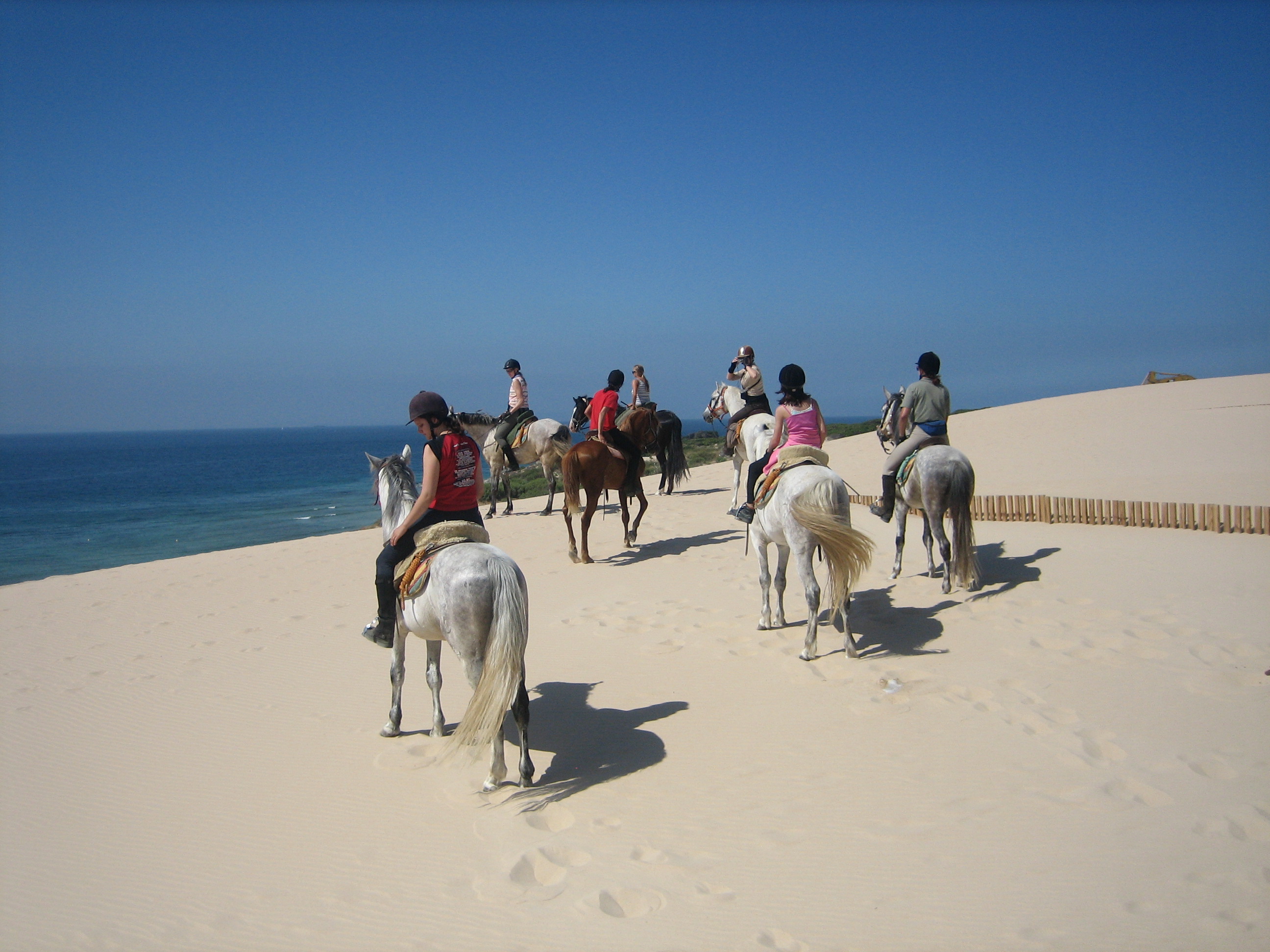 Malaga, Jerez, Tarifa ride/culture 